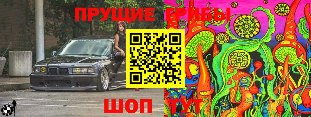 Галлюциногенные грибы Psilocybe Лабинск